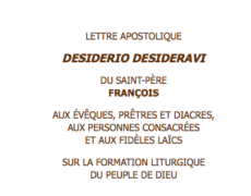 Désiderio Desideravi : Nous ne pouvons pas nous laisser dépouiller d’une telle richesse