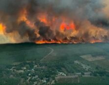 Incendies criminels