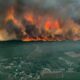 Incendies criminels