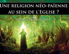 Terres de Mission : Une dérive idolâtrique au sein de l’Eglise ?