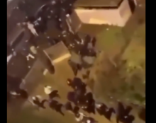 Montpellier : la communauté maghrébine mène une expédition punitive contre la communauté gitane