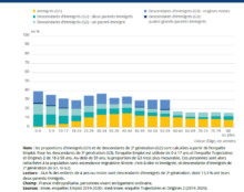 Le grand remplacement