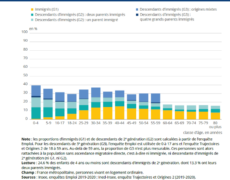 Le grand remplacement