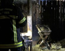 Incendie criminel d’une crèche de Noël à Illkirch-Graffenstaden, au sud de Strasbourg