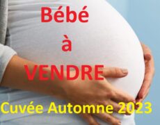 Bébés en vente ?