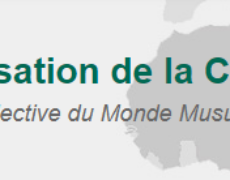 Toutes les victimes musulmanes d’attentats terroristes n’ont pas la même importance pour l’Organisation de la Coopération islamique