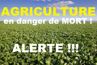 Agriculture en Danger !