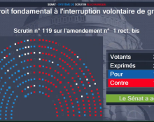 Le Sénat, majoritairement à droite, vote pour inscrire l’avortement dans la Constitution