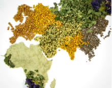 Réconcilier l’Homme et la Nature à travers une approche de « santé intégrale »