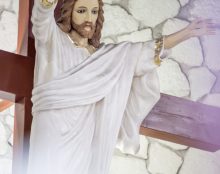 Accueillir le renouveau