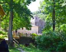 Abbaye de Rieunette : presque 900 ans d’histoire, et des produits bio