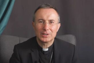 Nouveaux évêques au Mans et à Pointe-à-Pitre