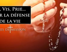 Terres de Mission Va, Vis, Prie… pour la défense de la vie