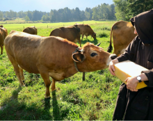 Achetons 500kg de fromage pour aider des moines bâtisseurs