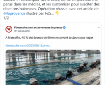 La LICRA s’attaque à FDesouche