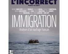 La population d’origine africaine a augmenté de 71% en deux générations
