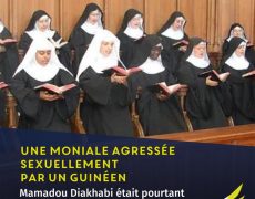 Agression par un immigré confirmée à Solesmes