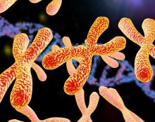 Ce sont les chromosomes, apparus dès la conception, qui font de nous une « femme » ou un « homme »