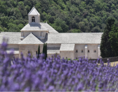 L’abbaye de Sénanque, de 1148 à aujourd’hui