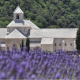 L’abbaye de Sénanque, de 1148 à aujourd’hui