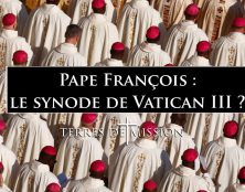 Terres de Mission Pape François : le synode de Vatican III ?