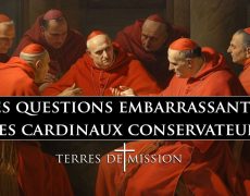 Terres de Mission: Les questions embarrassantes des cardinaux conservateurs