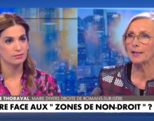 « Je ne peux pas dire que les délinquants se sentent français,  (…) ils cherchent à répandre la terreur sur les gens vivant dans ces quartiers.»