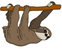 L’affaire de l’affiche de la Vierge Marie tenant un paresseux à Genève et les événements troublants autour de Noël