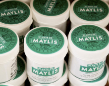 La plante de l’abbaye de Maylis, aussi fameuse que mystérieuse