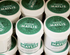 La plante de l’abbaye de Maylis, aussi fameuse que mystérieuse