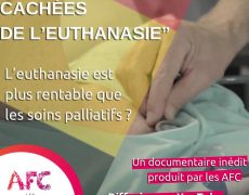 Les souffrances cachées de l’euthanasie