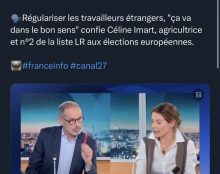 Européennes : la numéro 2 LR prône la régularisation des clandestins