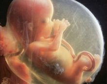 La vie, un mystère si précieux