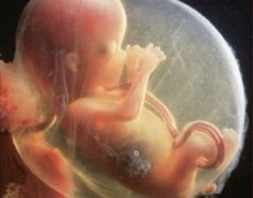 Témoignages suite aux décès d’enfants in utero ou à la naissance