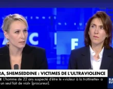 « Pour les bobos comme Valérie Hayer, l’immigration leur sert à faire le sale boulot dans les cuisines, le ménage et être livreur»