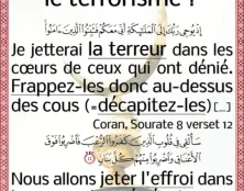 Egalité entre les religions : islamophobie et « religiophobie »