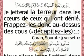 Egalité entre les religions : islamophobie et « religiophobie »