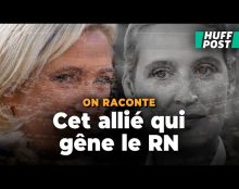 Marine Le Pen rompt avec l’AfD : quel avenir pour le groupe Identité et Démocratie (ID) ?