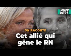 Marine Le Pen rompt avec l’AfD : quel avenir pour le groupe Identité et Démocratie (ID) ?