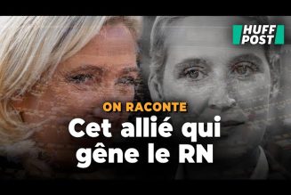 Marine Le Pen rompt avec l’AfD : quel avenir pour le groupe Identité et Démocratie (ID) ?