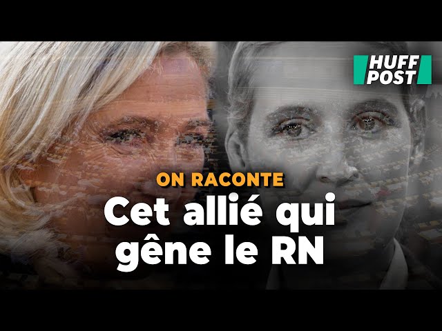 Marine Le Pen rompt avec l’AfD : quel avenir pour le groupe Identité et Démocratie (ID) ?