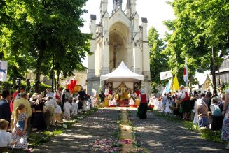 Franc succès pour le Grand Sacre d’Angers