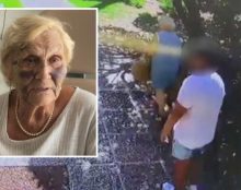 Coucou, revoilà les voyous