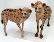 2 août : anniversaire des 3 ans de l’autorisation des chimères animal-homme en France…