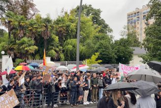 Pau : des centaines d’élèves et parents manifestent pour soutenir le directeur suspendu par le rectorat