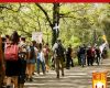 Nosto Fe : 2000 pèlerins marchent de Cotignac à Saint-Maximin-la-Sainte-Baume