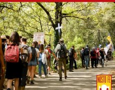 Nosto Fe : 2000 pèlerins marchent de Cotignac à Saint-Maximin-la-Sainte-Baume