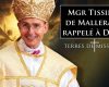 Terres de Mission – Mgr Tissier de Mallerais rappelé à Dieu : quel avenir pour la FSSPX ?