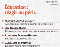 Dissidence scolaire