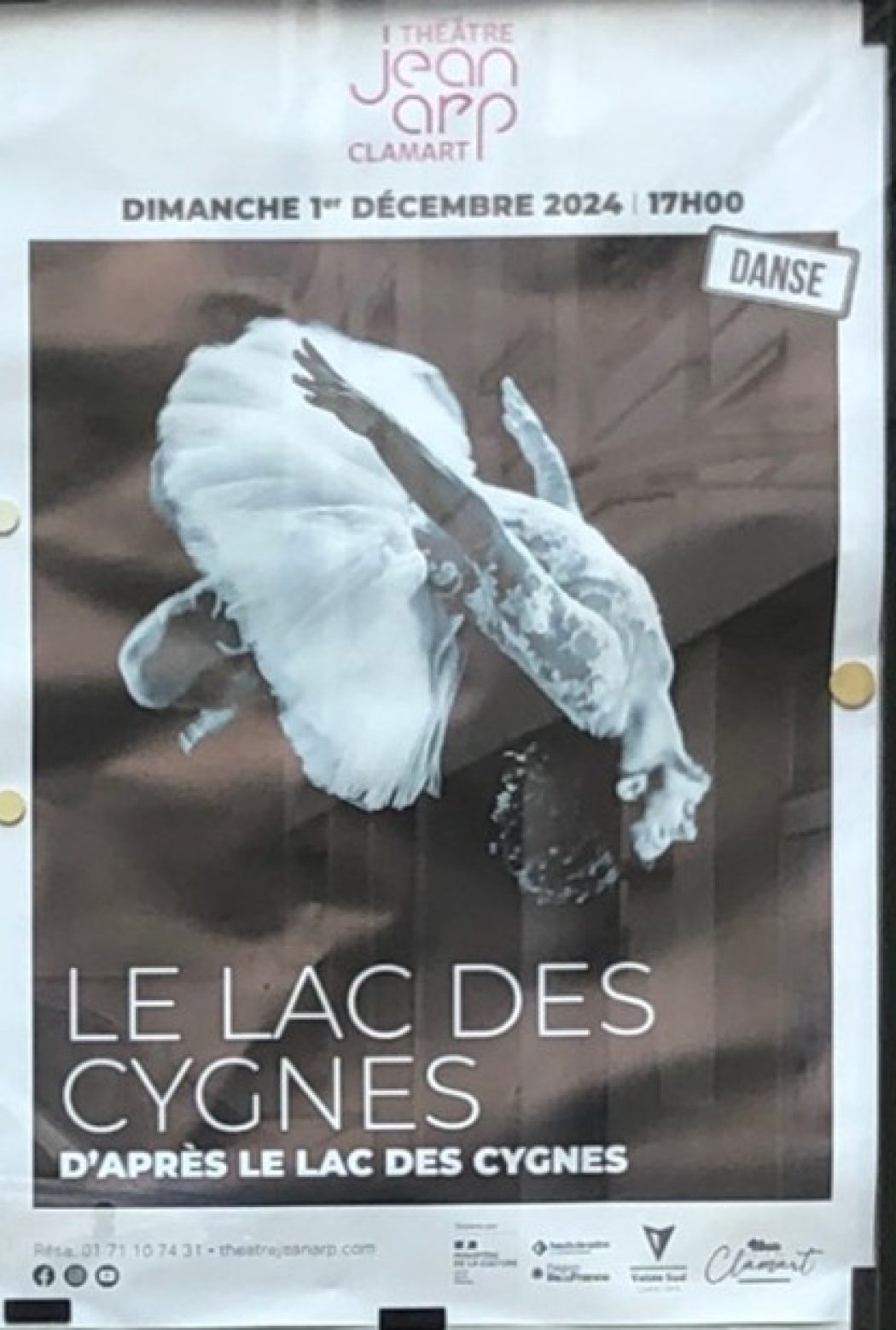 Une version wokiste du Lac des Cygnes